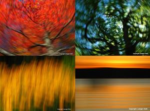 Nature Photography Blog By Juergen Roth